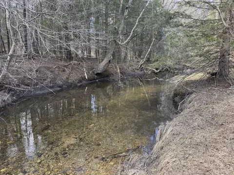 151 Ashfield Rd, Williamsburg, MA 01096 photo 4