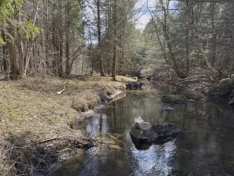 151 Ashfield Rd, Williamsburg, MA 01096 photo 9