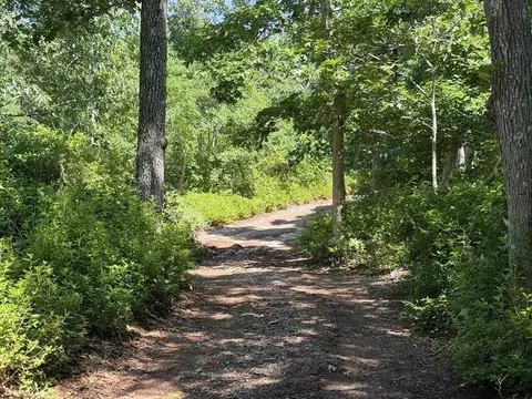 0 N 15 Belhaven Way, Chilmark, MA 02535 photo 9