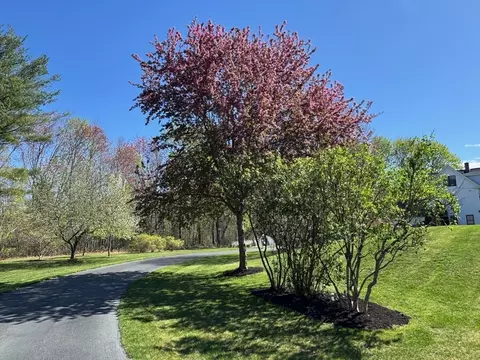 Exterior - 47 Springdale Ave, Dover, MA 02030 photo 6 of 6