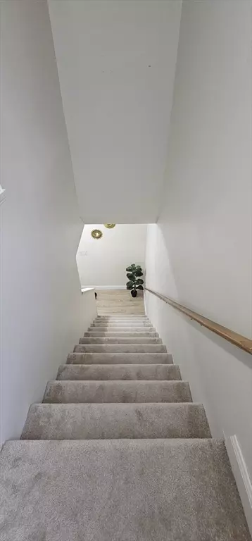 289 Morton St, Springfield, MA 01119 photo 12