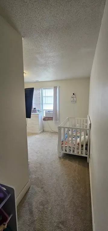 289 Morton St, Springfield, MA 01119 photo 19