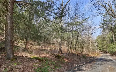 8 Hemlock Rd, Tyringham, MA 01264 photo 2