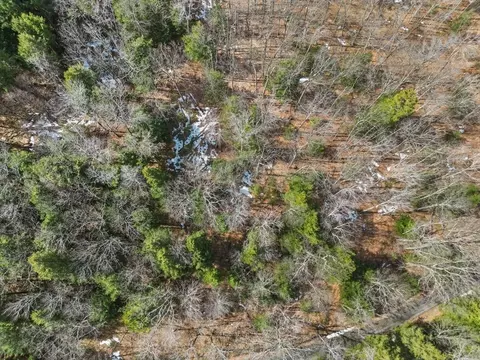 8 Hemlock Rd, Tyringham, MA 01264 photo 8