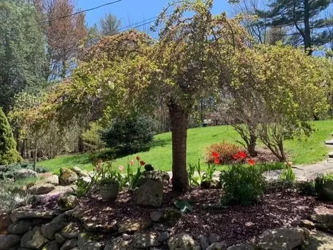 75 Nash Rd, Ashby, MA 01431 photo 41
