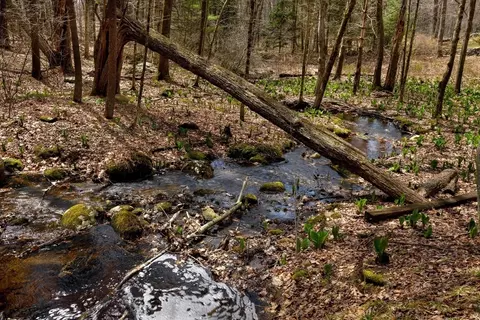 2700 Greenwich Rd, Hardwick, MA 01082 photo 5