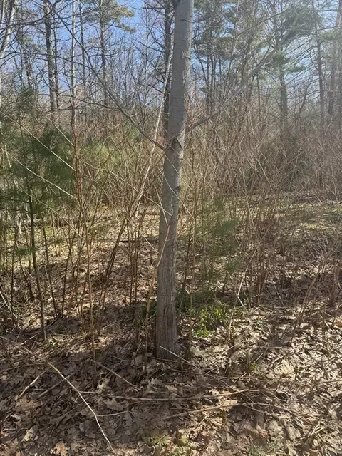 0 Camp Rd, Orange, MA 01364 photo 7