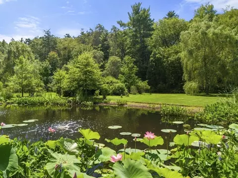 View/Area - 280 Warren St, Brookline, MA 02445 photo 1 of 3