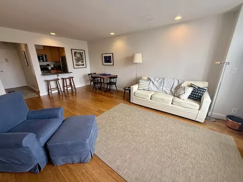 33 Pond Ave #1213, Brookline, MA 02445 photo 5