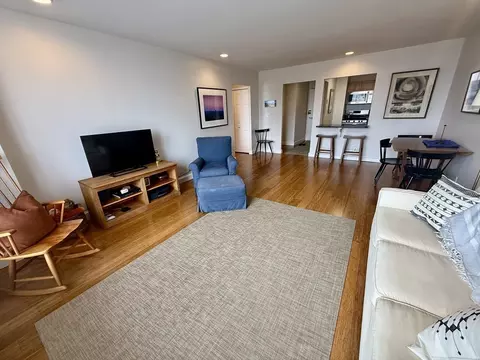 33 Pond Ave #1213, Brookline, MA 02445 photo 4
