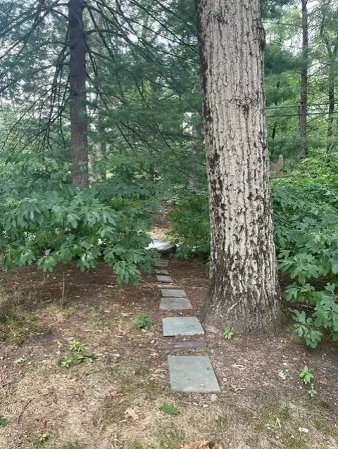 Exterior - 65 Deerpath, Dedham, MA 02026 photo 5 of 13