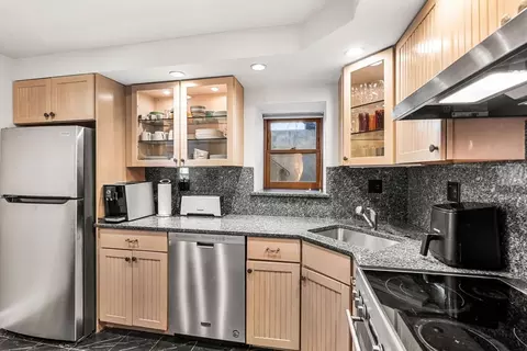 101 Summit #E, Brookline, MA 02446 photo 10