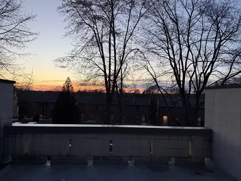 8 Sutton Ct #8, Amherst, MA 01002 photo 30