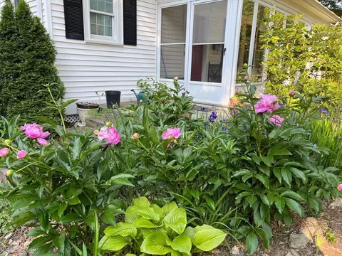 Other - 21 Howe St, Wellesley, MA 02482 photo 6 of 6
