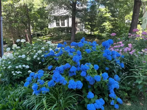 Exterior - 21 Howe St, Wellesley, MA 02482 photo 7 of 10