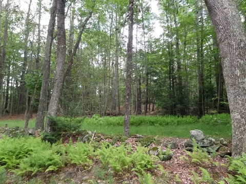 0 Pynchon Rd, Chesterfield, MA 01012