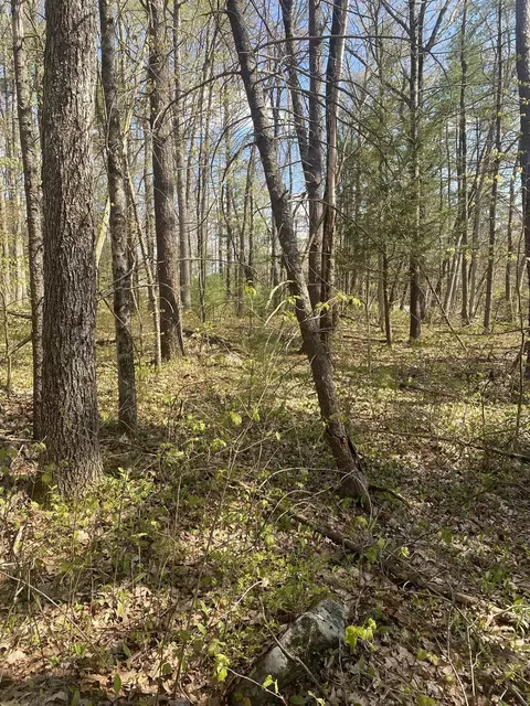 395 Belchertown Rd, Ware, MA 01082 photo 4