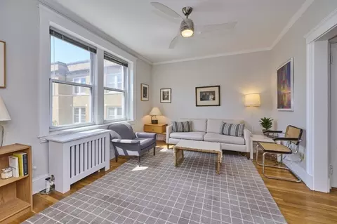 Living - 233 Freeman #4, Brookline, MA 02446 photo 3 of 3