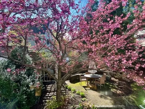 Exterior - 121 Thorndike St, Brookline, MA 02446 photo 2 of 12