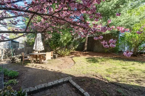 Exterior - 121 Thorndike St, Brookline, MA 02446 photo 7 of 12