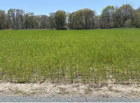 205 Providence St Bldr #LOT 4, Rehoboth, MA 02769