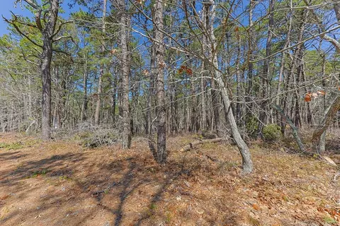 175 Delphi Path, Wellfleet, MA 02667 photo 3