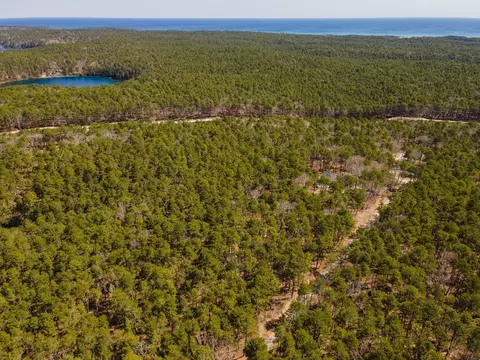 175 Delphi Path, Wellfleet, MA 02667 photo 6