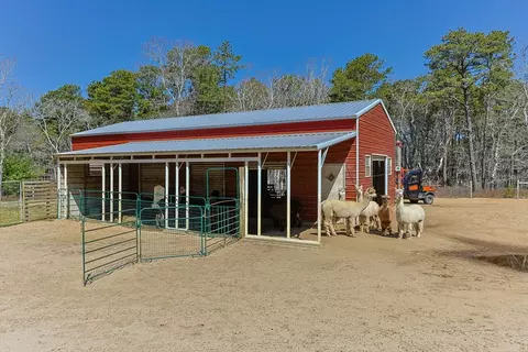 175 Delphi Path, Wellfleet, MA 02667 photo 4