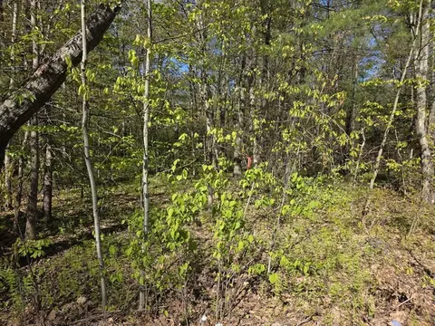 lot14 West St, Ludlow, MA 01056