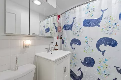 Bath - 12 Parkman St, Brookline, MA 02446 photo 3 of 3