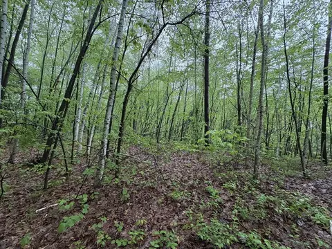 tbd Lower Rd, Deerfield, MA 01342 photo 2