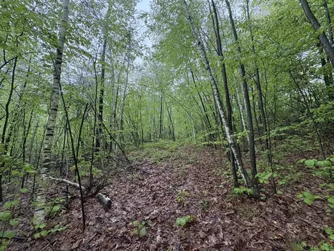 tbd Lower Rd, Deerfield, MA 01342