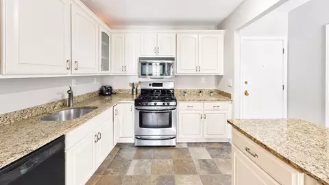 227 Summit Ave #W205, Brookline, MA 02446 photo 3
