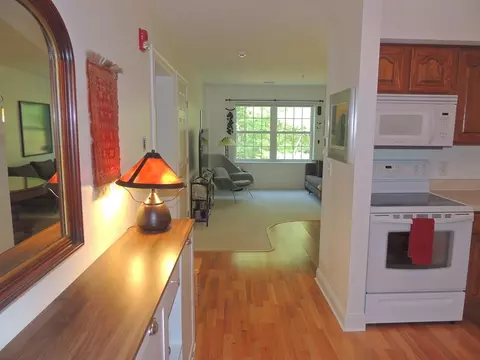 24 Greenleavse Dr #435, Amherst, MA 01002