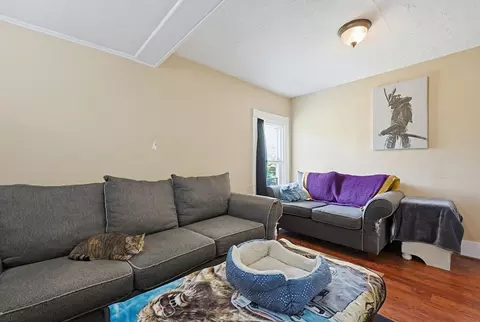 26 Mccarthy St, Franklin, MA 02038 photo 29