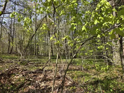lot12 W Chicopee Dr, Hubbardston, MA 01452