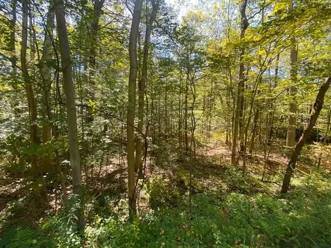 45 Fox Hill Rd, Mashpee, MA 02649 photo 2