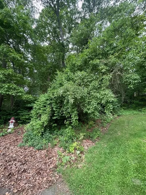 0 Sion St, Fall River, MA 02721 photo 3