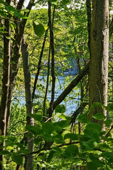 12 Carey Rd, Sturbridge, MA 01566