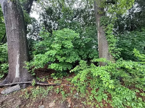 0 Stoughton Ave, Webster, MA 01570 photo 22