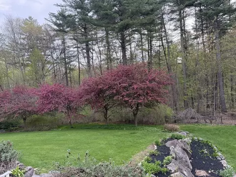 156 Maple St, Stow, MA 01775 photo 37