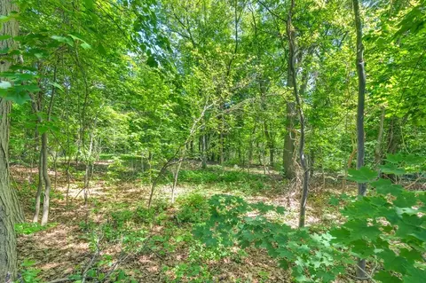 15 Berkeley St, Arlington, MA 02474 photo 30