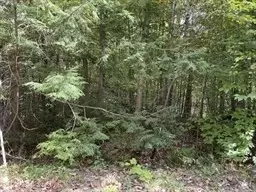 lot7 8 Little John, Becket, MA 01223