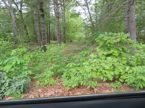 0 Burt St, Norton, MA 02766