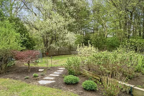 Exterior - 1333 Great Plain Ave, Needham, MA 02492 photo 7 of 9