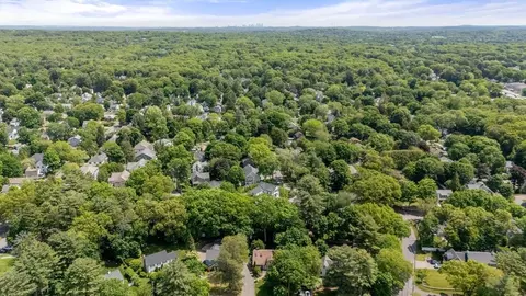 View/Area - 3 Berkeley Rd, Wellesley, MA 02482 photo 2 of 2