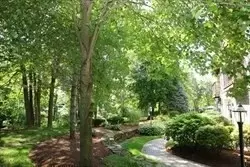 Other - 4 Forge Pond # D, Canton, MA 02021 photo 6 of 7