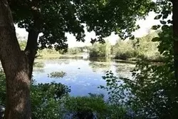 View/Area - 4 Forge Pond # D, Canton, MA 02021 photo 5 of 5