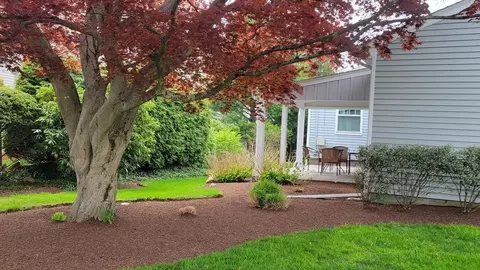 294 Great Plain Ave, Needham, MA 02492 photo 30