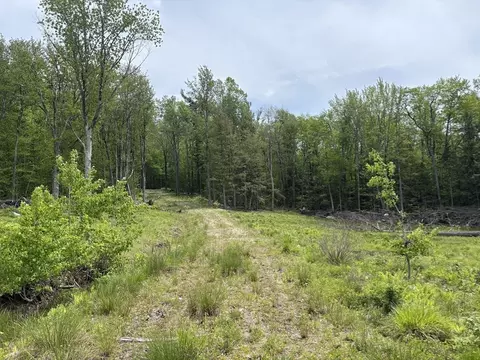 0 West St, Plainfield, MA 01473 photo 7